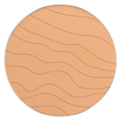 Stay Hydrated Pressed Powder Palette 205