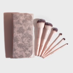 Brush Set in Case Silver