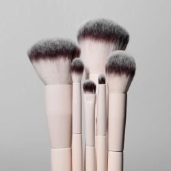 Brush Set in Case Silver