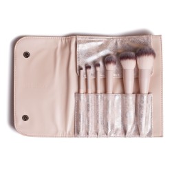 Brush Set in Case Silver