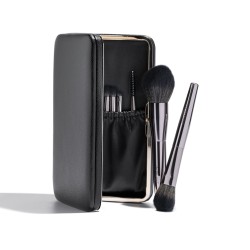 Makeup Brush Set in a Case